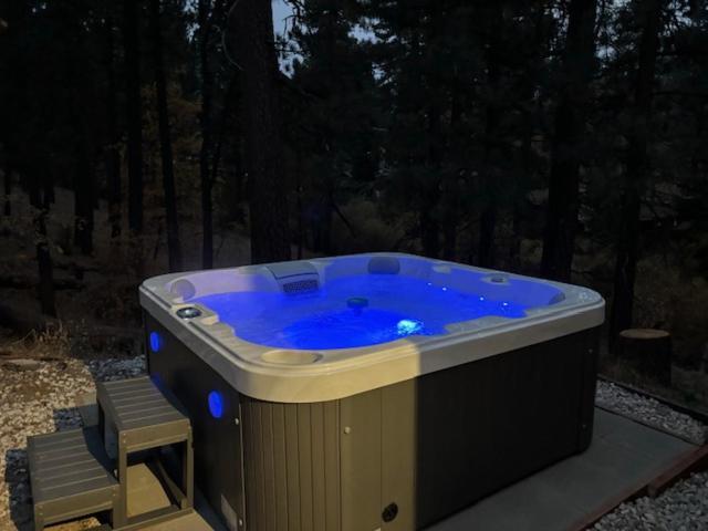 Snow Bunny Lodge - Perfect Big Bear Getaway! Deck With A New Hot Tub And Charcoal Barbecue! Velké Medvědí jezero Exteriér fotografie